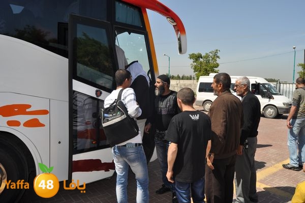 3omrashneer321 (26).JPG